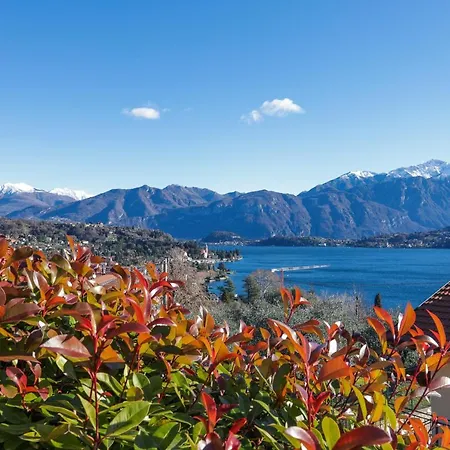 Διαμέρισμα Bellavista *