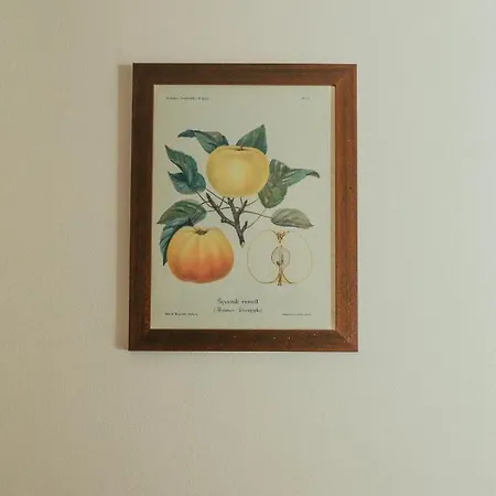 Bellavista Διαμέρισμα Lenno