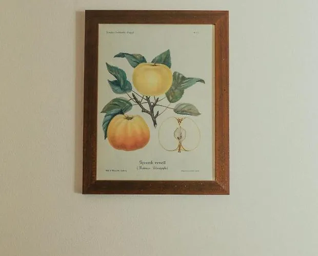 Bellavista Apartment Lenno